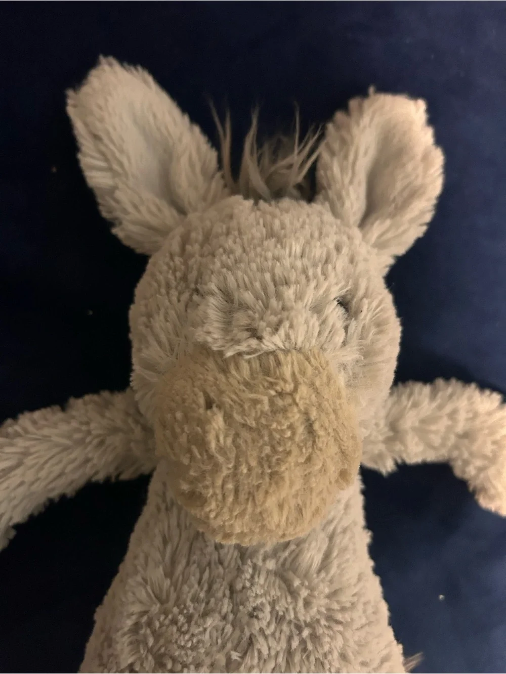 JELLYCAT BASHFUL DONKEY RETIRED